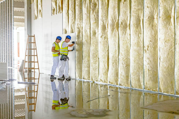Best Commercial Insulation in Weston, WI